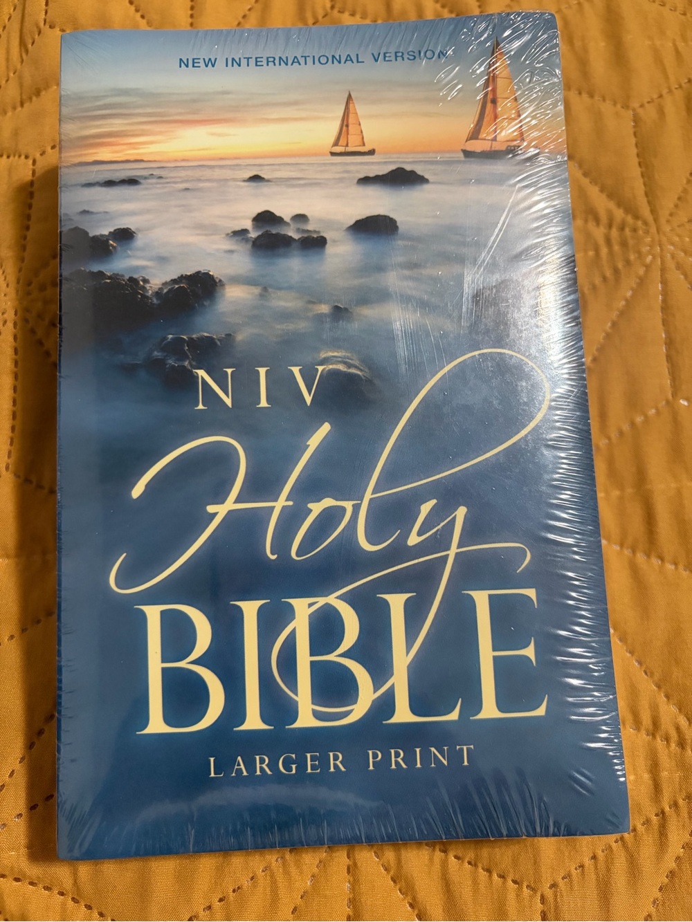 NIV Holy Bible Larger Print - Blue